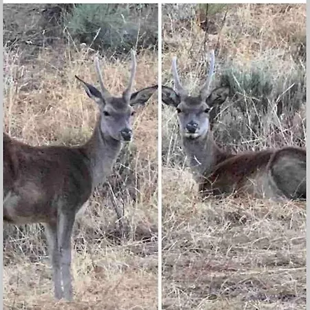 Turistico San Cristobal Apartmán *