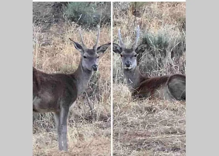 Turistico San Cristobal Appartamento *